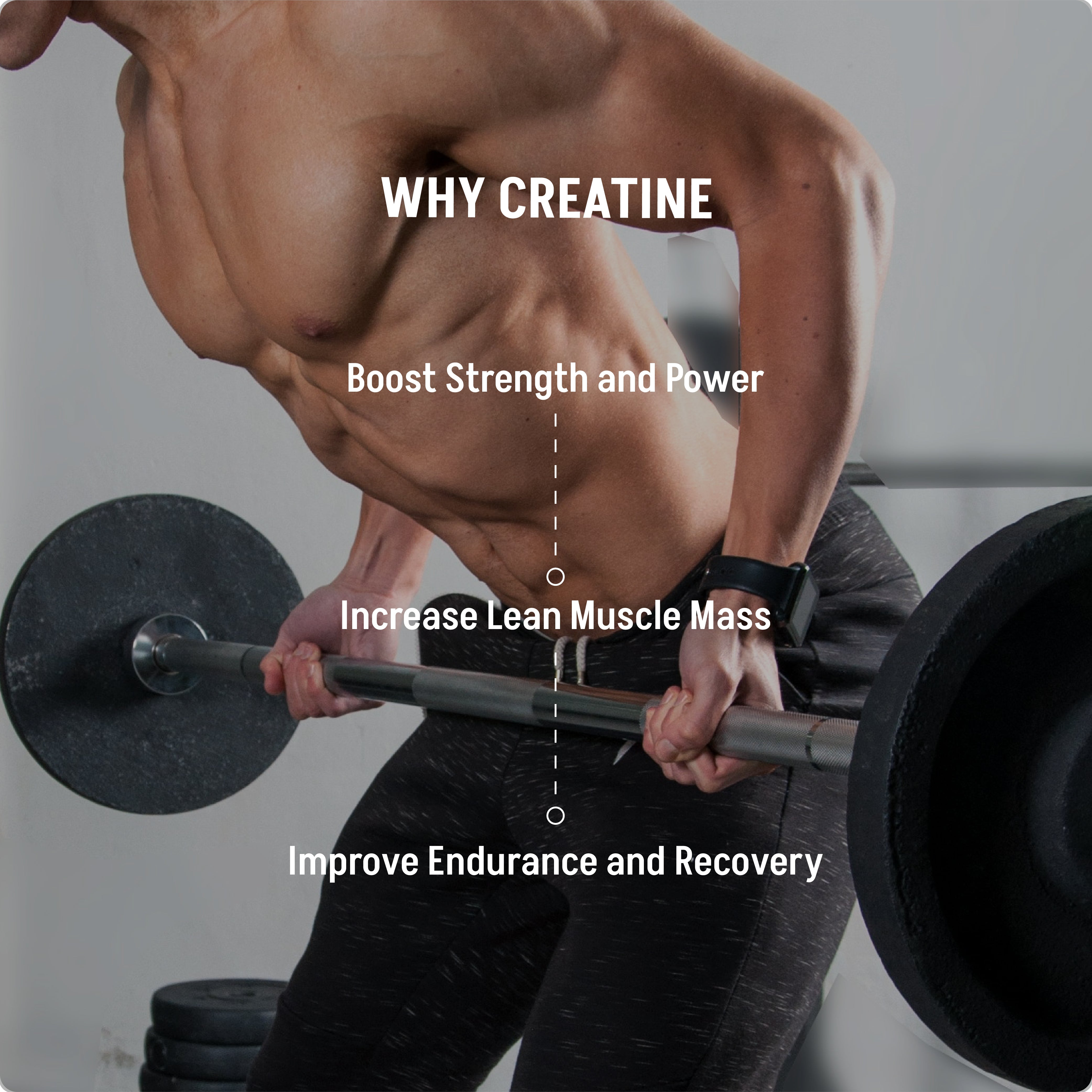 Creatine Monohydrate - Lushprotein Malaysia