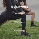 PLANT PROTEIN - Lushprotein Malaysia