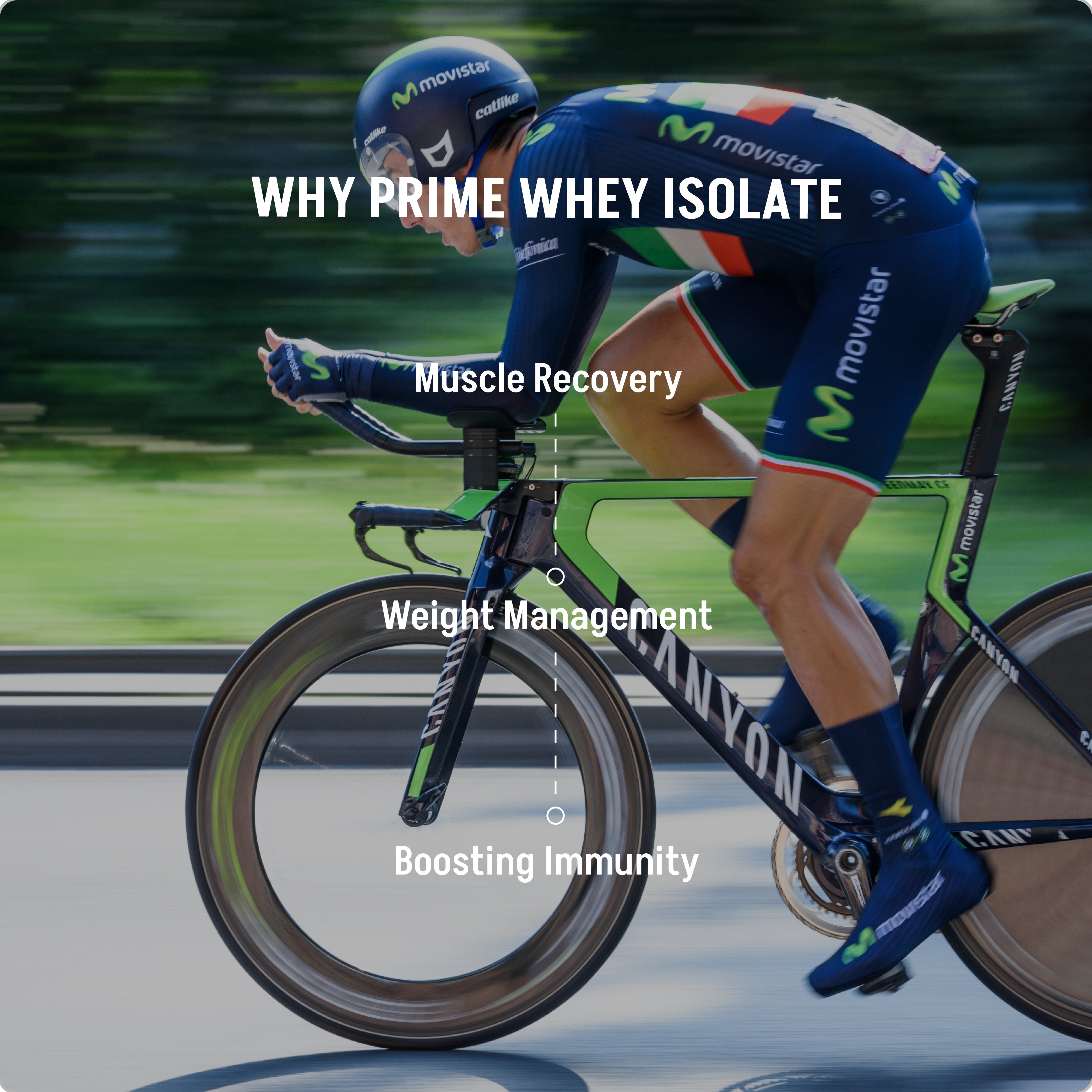 Prime Whey Isolate - Lushprotein Malaysia