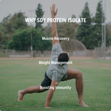 Soy Protein Isolate - Lushprotein Malaysia