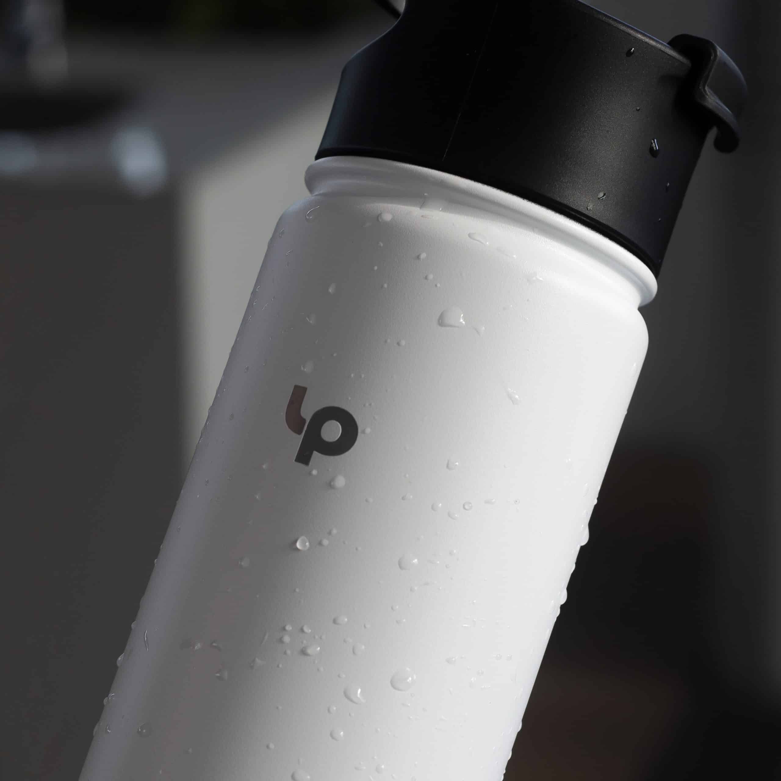 Stainless Steel Bottle - lushprotein